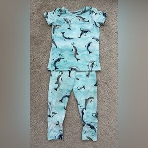 Posh Peanut Aqua Dolphin Pajama Set